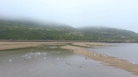 Север Stock Footage 127847334