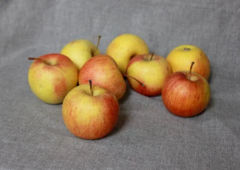 Several apples on gray background Stock Photos