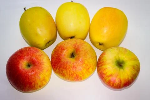 Several apples standing on a white background Stock Photos