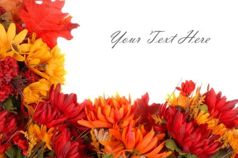 Several autumn flowers placed in a pattern to form a border Stock Photos
