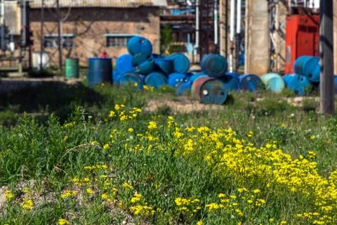 Several barrels of toxic Stock Photos
