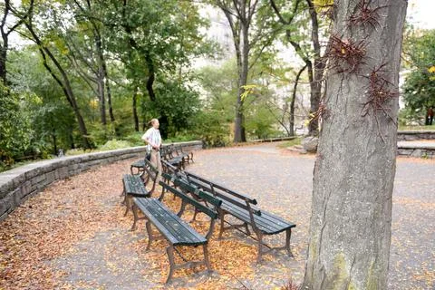 Several benches on a resting area in the upper side of Central Park, Manhatta Foto stock