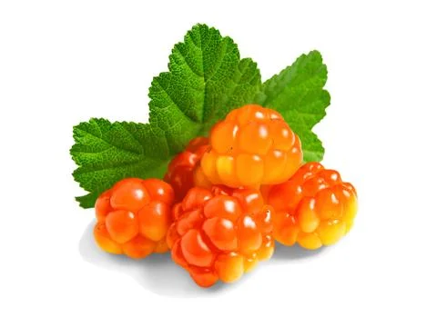 Several berries of cloudberries with a leaf isolated on a white background wi Stock Photos