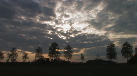 Several birch trees with partly cloudy sky2 Stock Footage 4717803