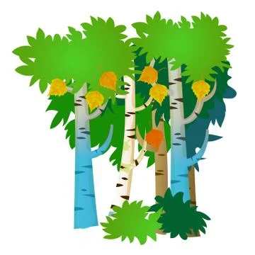 Several birch trees with summer and autumn leaves isolated on white background Stock Illustration