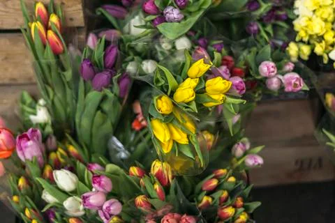 Several bouquets of colorful tulips in market Stock Photos