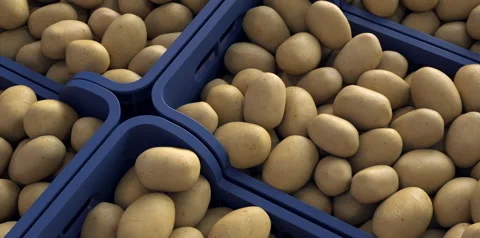 Several boxes full of potatoes ready for sale. Vídeos de archivo 336325810
