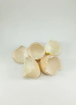 Several broken chicken egg shells Stock Photos