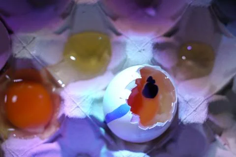 Several broken eggs, with buds in poor condition Stock Photos