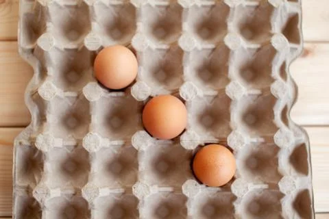 Several brown eggs lie in a row in a large cardboard storage bag Stock Photos