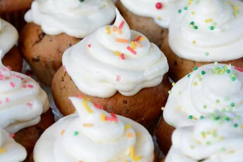 Several brown flans with whipped cream. Stock-Fotos