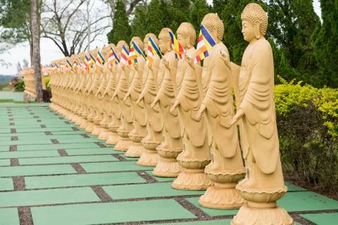 Several Buddha statues in perspective at the buddhist temple Photos