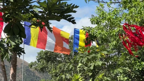Several Buddhist flags wave together surrounded by trees under a blue sky near a 库存影片 329304827