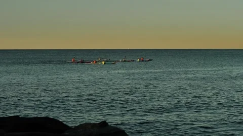Several canoeists at sunset in Sydney slow motion 4K Stock Footage 245048169
