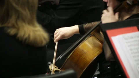 Several cellist playing on cello in the orchestra. Stock Footage 61051927