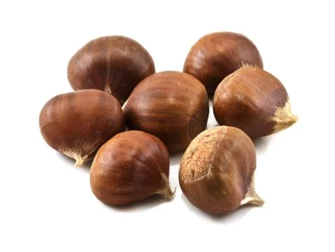 Several chestnuts isolated on white background Stock Photos