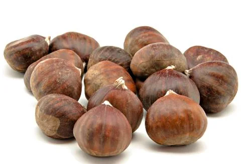 Several chestnuts Stock Photos