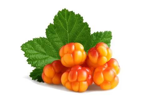 Several cloudberries with a leaf isolated on a white background with clipping Stock Photos