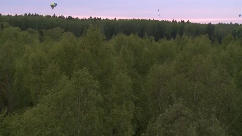 Several colored balloons flying low over forest Video stock 72153968