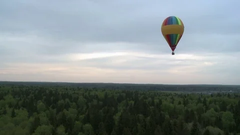 Several colored balloons rising over tree tops Video stock 72152569