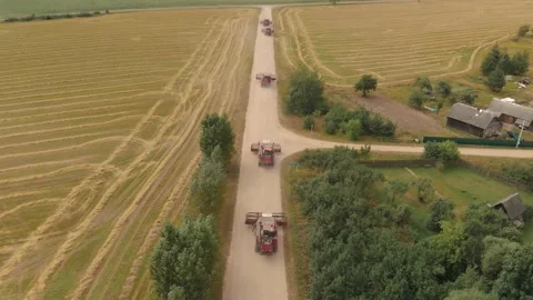 Several combine harvesters move along a gravel country road between farmlands Vídeo Stock 141099738