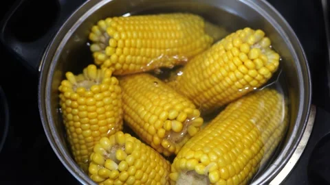 Several corn cobs boiling in a pot of hot water Stock Footage 319630860