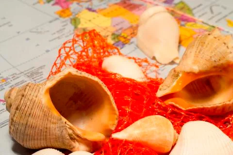 Several different shells and red network together Stock Photos