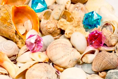 Several different shells and red network together Stock Photos