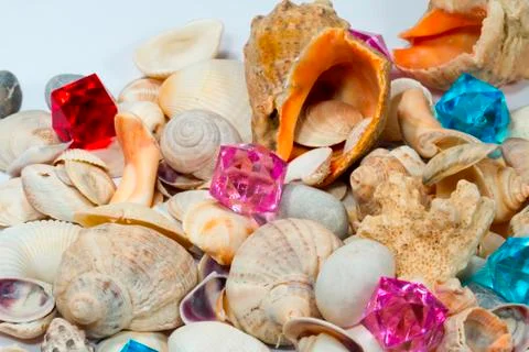 Several different shells and red network together Stock Photos