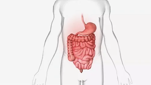 Several different viruses cause gastroenteritis, including norovirus, rotavirus, Stock Footage 231402223