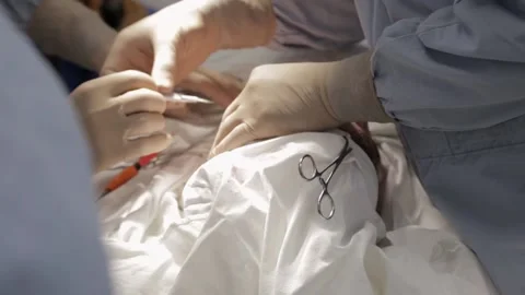 Several doctors Stock Footage 154586306