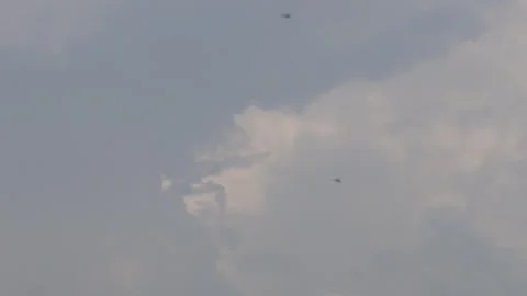 Several dragonflies are flying in the cloudy sky Stock Footage 316246356