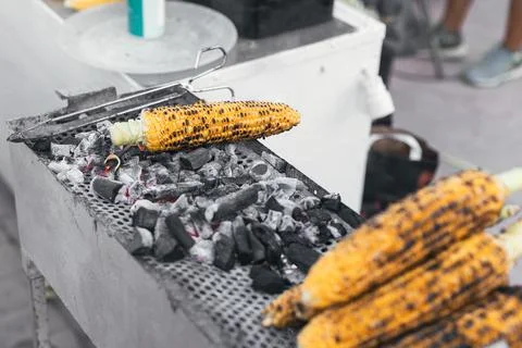 Several ears of corn roasting over charcoal at a street food stall 写真素材