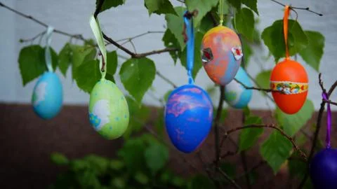Several Easter Colored Eggs Hanging On A Tree Branch Color Sunny Spring Day. Stock Photos