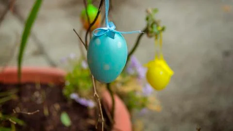 Several Easter Colored Eggs Hanging On A Tree Branch Color Sunny Spring Day. Stock Photos