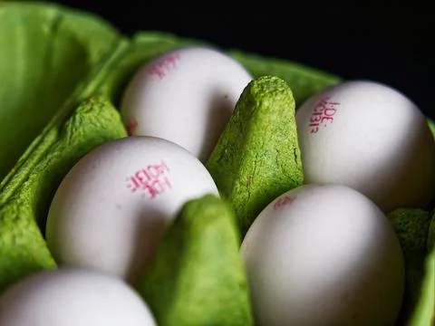 Several eggs in a box of eggs closeup Stock Photos