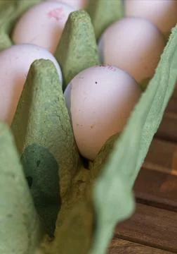 Several eggs in a box of eggs closeup Stock Photos