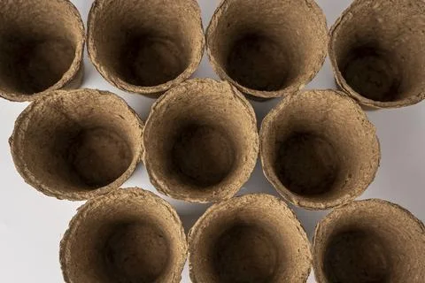 Several empty peat pots for seedlings, standing in rows on a white background Foto stock