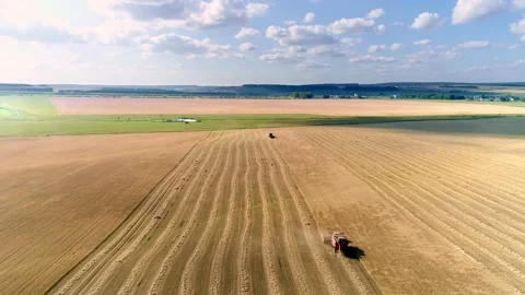 Several fields with ripe crops are illuminated by the rays of the bright summer Stock Footage 156981391