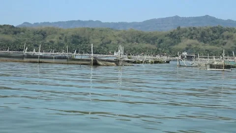 Several fish cages owned by local residents as a place for freshwater fish Video stock 281577115