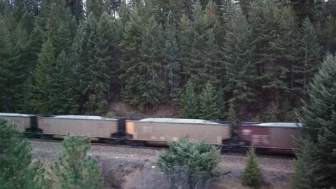 Several freight cars passing in front of large forest Stock Footage 125401683