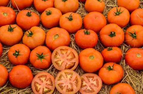 Several fresh tomatoes Stock Photos