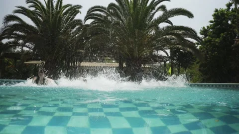 Several friends jumping at the same time into the pool in the day with palm Stock Footage 170016509