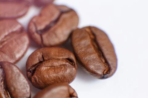 Several grains of roasted coffee on a white background. macro. photographed Stock Photos