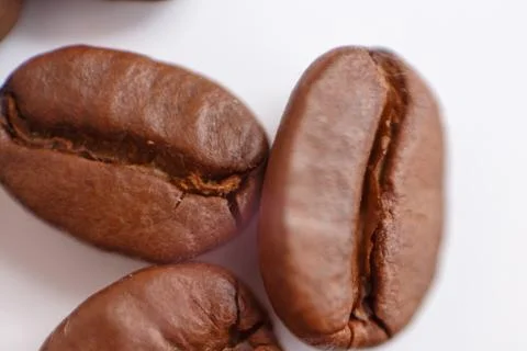 Several grains of roasted coffee on a white background. macro. photographed Stock Photos