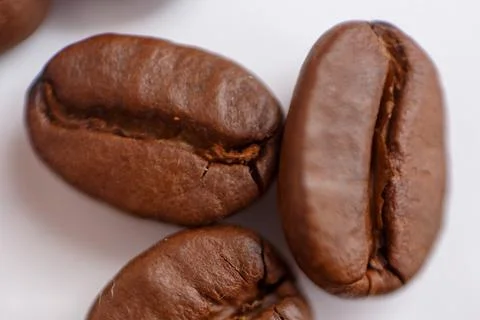 Several grains of roasted coffee on a white background. macro. photographed Stock Photos