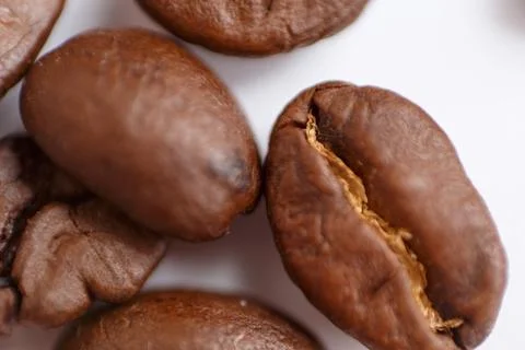 Several grains of roasted coffee on a white background. macro. photographed Stock Photos
