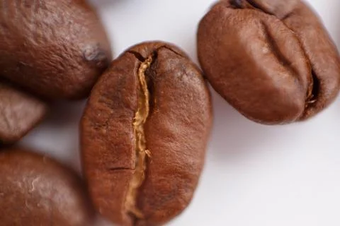 Several grains of roasted coffee on a white background. macro. photographed Stock Photos