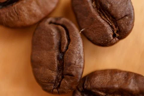Several grains of roasted coffee on a white background. macro. photographed Stock Photos