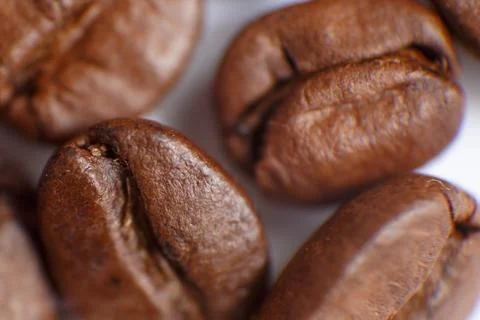 Several grains of roasted coffee on a white background. macro. photographed Stock Photos